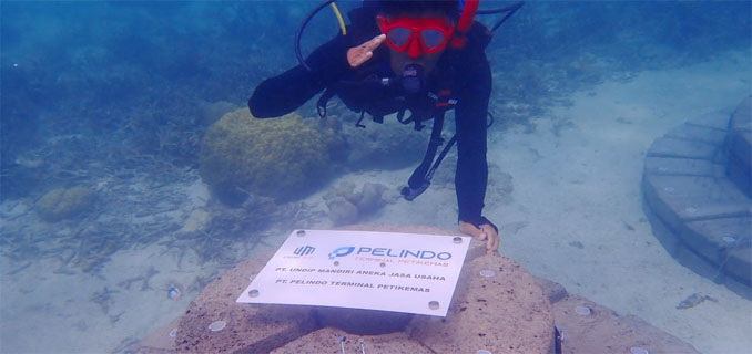 Pelindo Terminal Petikemas Terapkan Teknologi Terumbu Buatan di Karimunjawa